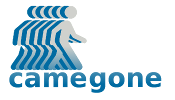 CameGone